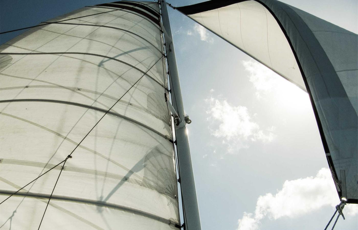 Foto von Dr. Markus Weber